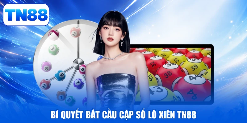 Lô Xiên TN88 - Bí Kíp Bắt Cầu, Giật Thưởng Đậm Sâu 2 Bí quyết bắt cầu cặp số lô xiên TN88